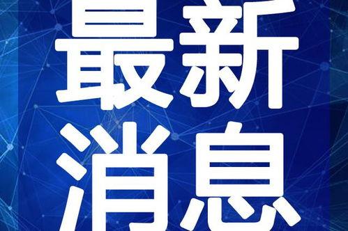 最新老鼠爆料新闻联播视频,新闻联播背后惊人真相